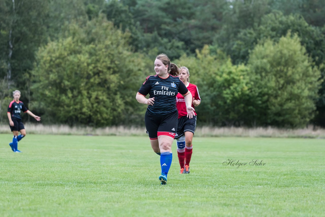 Bild 217 - Frauen SG NieBar - HSV 2 : Ergebnis: 4:3